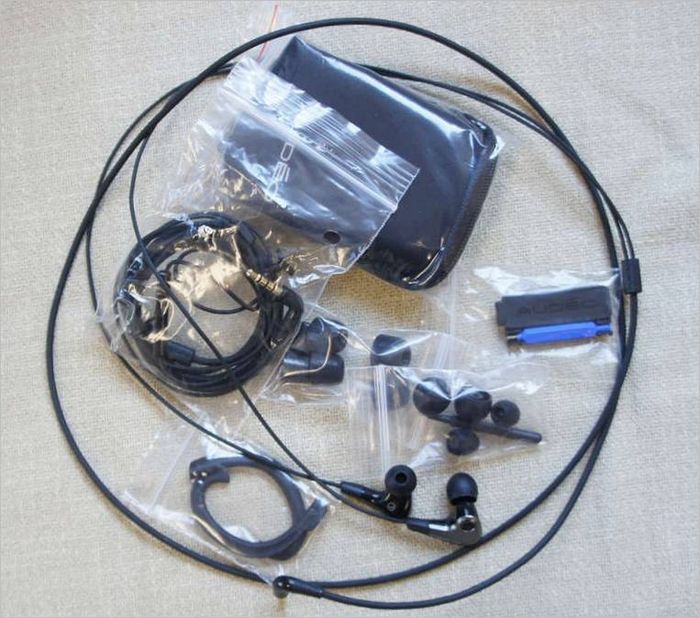 Phonak Audeo
