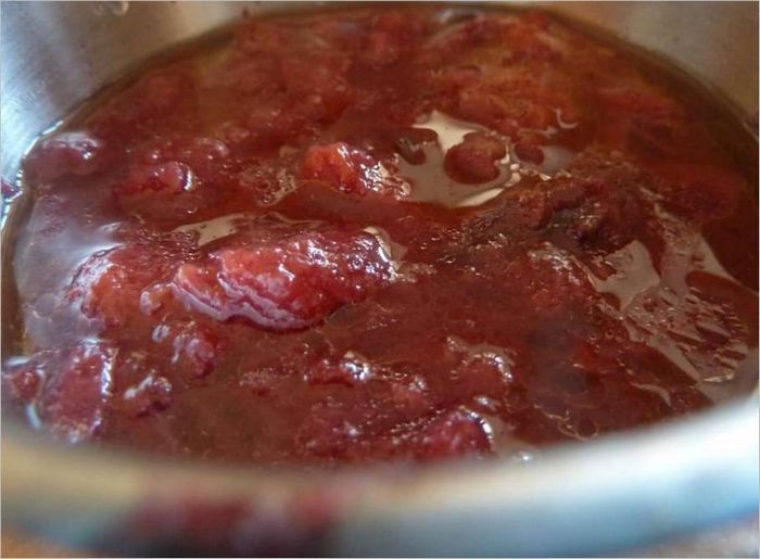 PANASONIC SR-TMH18 Multicooker - plum chutney