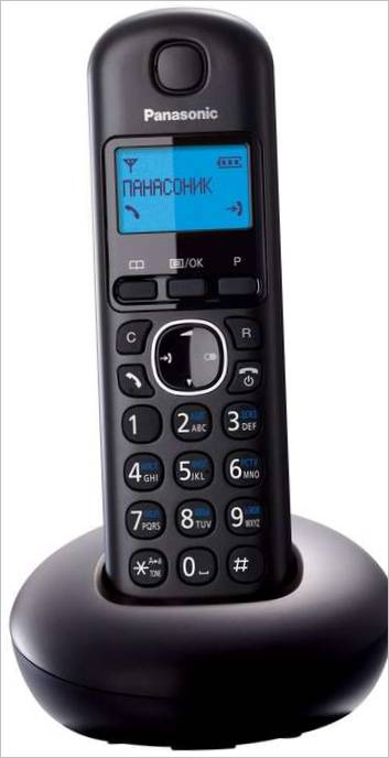 Panasonic