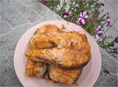 Grillede fiskebøffer i ovnen