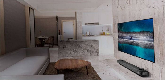 LG OLED TV/