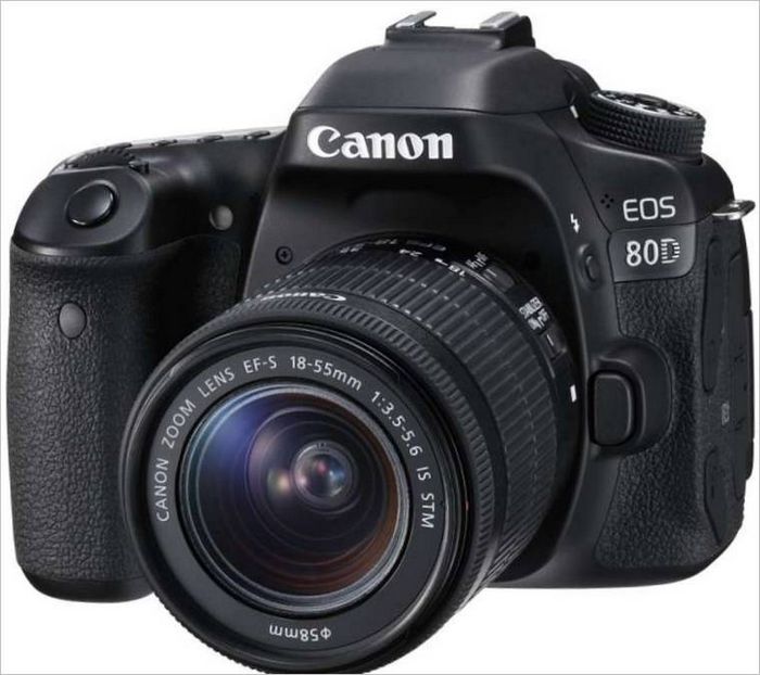 Canon EF-S 18-135mm f/3.5-5.6 IS USM