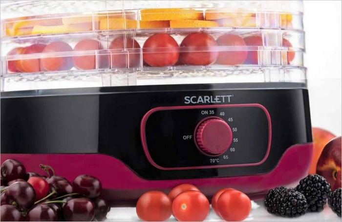 Scarlett SC-FD421012 kontrol