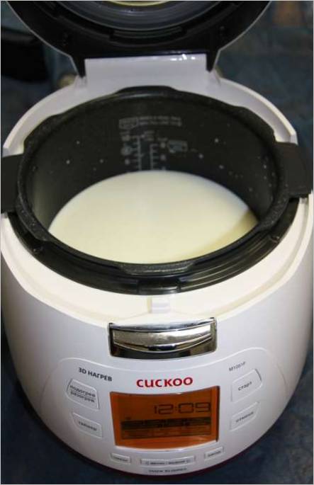 Multicooker