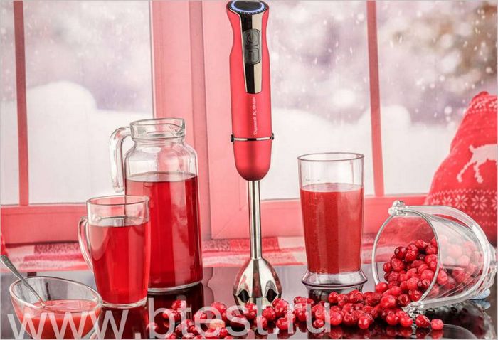 Zigmund & Shtain BH-341 M blender Zigmund & Shtain BH-341 M blender