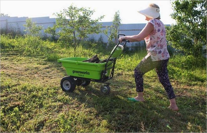 Greenworks G40GC vogn til brænde