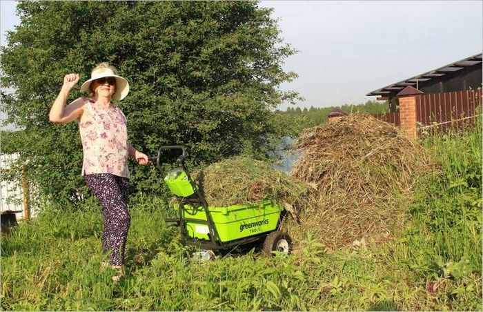 Greenworks G40GC selvkørende græsplænevogn