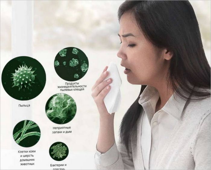 allergi allergier