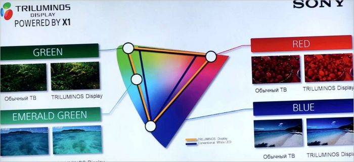 Alle tv-apparater baseret på Sony X1-chip understøtter Triluminous Display